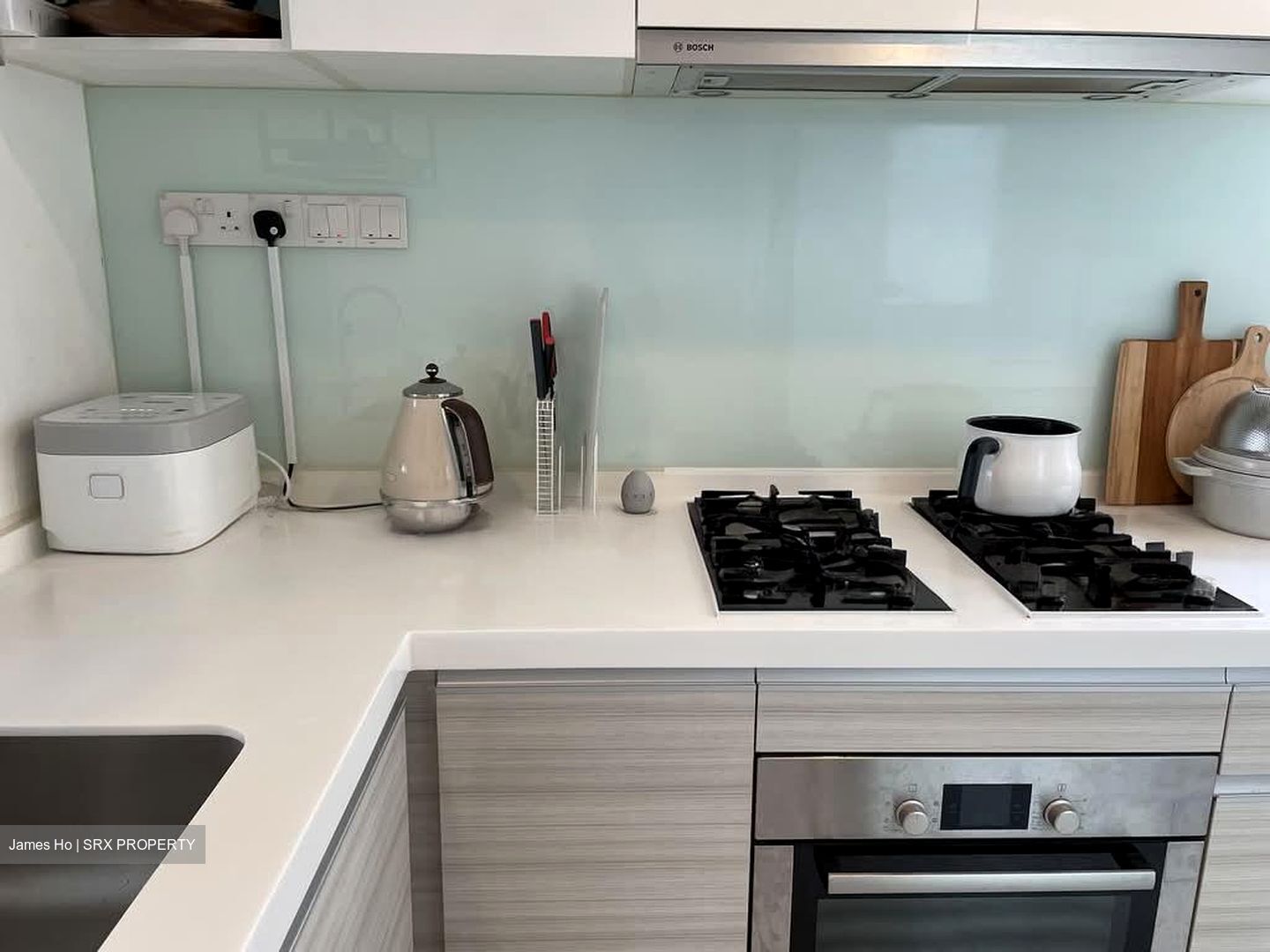 The Shore Residences (D15), Condominium #566277121